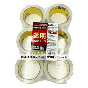 X[G XRb`(R)pe[v(Eyʕp) 48mm×50m 1(6) 313 6PN F1(6)