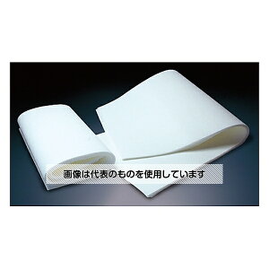 AY(AS ONE) mA [E|GXeCp[ TW70 1(300) 101726 F1(300)