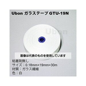 AY(AS ONE) KXe[v S GTU-19N F1