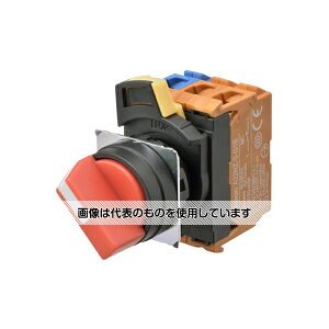 IiFAE@j XCb` A22NS-2BM-NRA-P100-NN F1