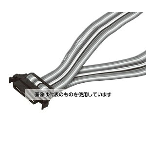 IiFAE@j ZT ZW-XCP2E F1