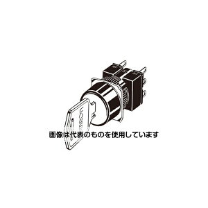 IiFAE@j L[`ZN^XCb`(ۓ`16) 암 A165K A165K-T2AL F1