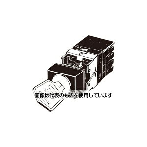 IiFAE@j L[`ZN^XCb`(`)(ۓ`16) A165K A165K-J2ML-2S F1