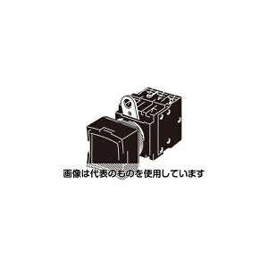 IiFAE@j {^XCb`(p`)(K[h`)(LEDƌjbgȂ)(ۓ`22/25) A22L A22L-DR-24A-01M F1