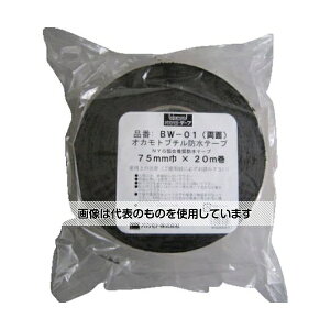 IJg hu`ʃe[v100 BW-01-100 F1