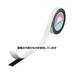 {Ώ\ WFBN-251 ͗ʃe[v(eʗp) 268505 F1