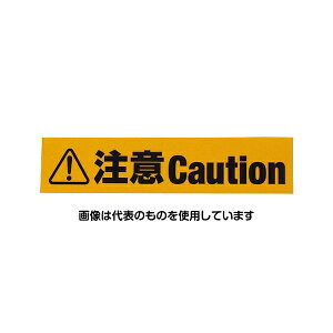 aCY ˕WXebJ[ Caution AHW253 F1