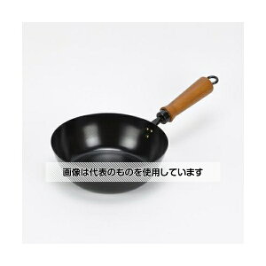 AY(AS ONE) 20cm tCp(IHΉ) EA913VS-2 F1