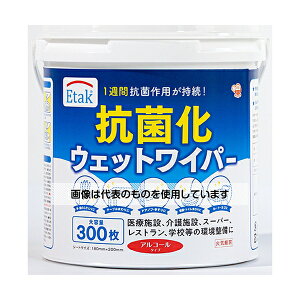 本田洋行 Etak抗菌化ウェットワイパー 300枚×6個入 本体 E00007 入数:1箱(6個入)