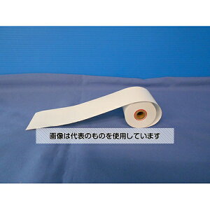 小林クリエイト 記録紙 10本入 30m RP-40KK**035-RI014** 1箱(10本入)