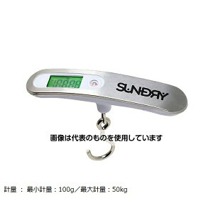 pY SUNDRY ݂艺fW^͂ 86197 F1