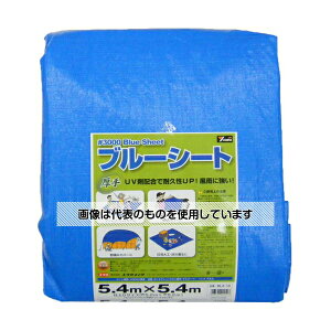 AY(AS ONE) #3000 u[V[g 5.2m×5.2m BLZ-13 F1