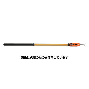 Jd@H ʍ𗬗pd HST-30 F1