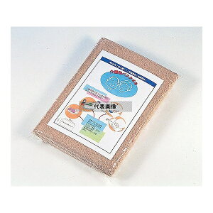 �A�Y���� 830001 ���p�唻�o�X�^�I�� �u���E��