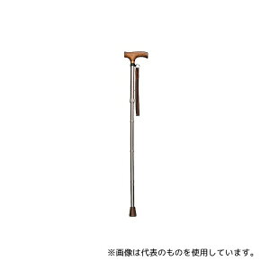 C^[NX 0401-SO5815 XXebL (܂肽݁ELk) CuE