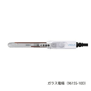 ��HORIBA 9615S-10D �|�[�^�u���^pH���[�^�[�p pH�d��