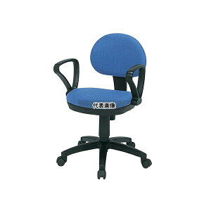 ���m������H�� T-210AXSN CH�`�F�A�[ �I�|�t