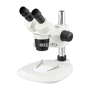 �A�Y���� YLC-ST-115(�{��) �o����̌����� YLC-ST-115