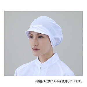 �A�Y���� 1-13 �q���X�q�����p ���T�C�h�����b�V��