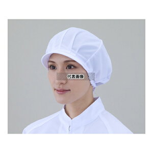 �A�Y���� 1-17 �q���X�q�����p �j�b�g�����n6��