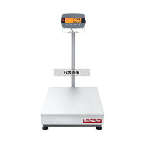 �I�[�n�E�X i-D33P300B1X2JP �f�W�^����͂��� 785×896×500mm 300kg