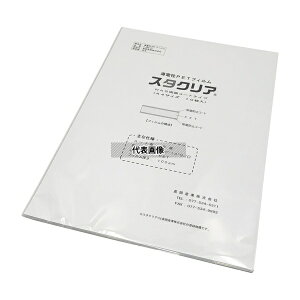 �����Y�� NAS ���d��PET�t�B���� �X�^�N���A(R) #100���ʃR�[�g/A4 10����