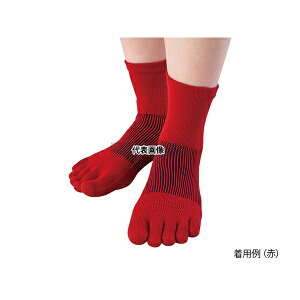 �������Y�f�� 3D�G�A���b�V���\�b�N�X(5�{�w�\�b�N�X) �~�h���� �� AM-11 1��