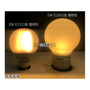�A�Y����(ASONE) YSG-K18EWMNM(L-2-12) LED����/�����d�� E12 �t�B�������g�^�C�v �d���F