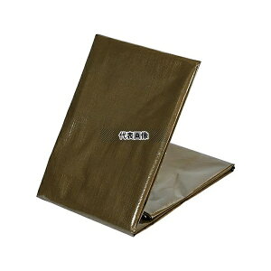 �g���X�R���R ODS-5472 �G�ROD�O���[���V�[�g #3000 5.4×7.2m