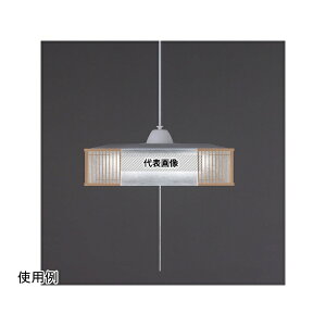 �A�C���X�I�[���} PL8D-JE2 �a��LED�y���_���g���C�g ���� 8��