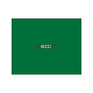 �y���Y�� �r���[�{�[�h�O���[��D-2G�p�v���[�g(���n) 04119 �����F1��
