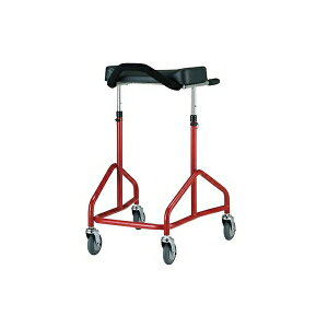 �A�Y����(AS ONE) ���s�⏕�� �A���R�[�X���� 100607 1��