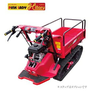 }LjR@BH42FDS@^N[^ԁwsNfBEq[x [@l][ʓrς]