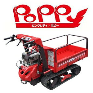 }LjR@BP51CFDS@^N[^ԁwsNfB|s[x [@l][ʓrς]