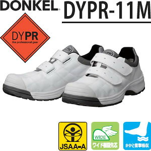 hP@SC@_CiXeBv@DYPR-11M@}WbN/Xj[J[^Cv@J[FzCg