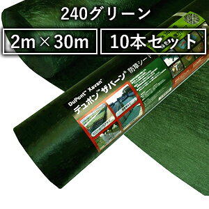f| Uo[ hV[g 240O[ (̓^Cv/0.64mm) 2m×30m (XA-240G2.0) 10{Zbg [@l]
