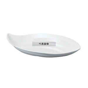 򎽊 j[zCg ό` 24.5cm 245×136×H46mm a/m/ H No.0261720