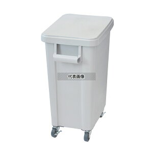 RISU(X) ~[pLX^[y[(rt) 70L O[(GY) 70L 570×350×H695mm No.0559600