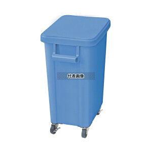 RISU(X) ~[pLX^[y[(rt) 70L u[(B) 70L 570×350×H695mm No.0559700