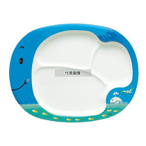 ۉH ~ I[o qlv[g E10KJ NW 300×230×H24 a/m/ H No.0981600