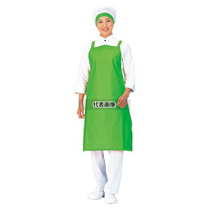 RE Ci[hCGv ^XL| E1600-6 IW t[(87cmEg69cm) jtH[ No.1170960