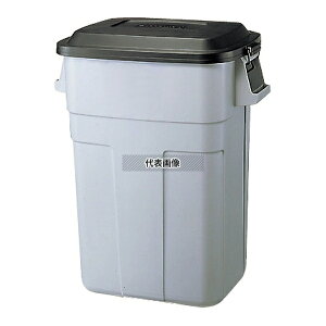 Lustroware(���X�g���E�F�A) Lustroware(���X�g���E�F�A) �g���b�V���J�� 70�^ 71L 548×358×H644 ���|/�q���p�i No.1192600