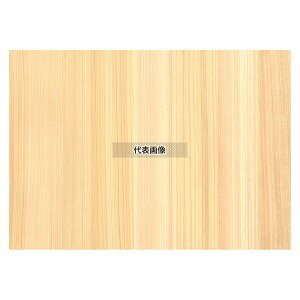 ] VR؃V[g O A5 (10) (100352) 147×205 V[g j[/TC No.1221980