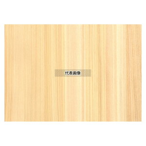 ] VR؃V[g O A4 (10) (100351) 205×295 V[g j[/TC No.1222070