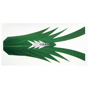 ^JMY ~ItBV[g (1000) Gr^ :120 ~[Օi No.1312200