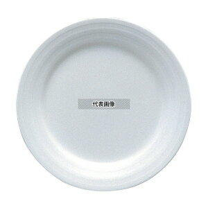 パティア パティア ケーキ皿 19cm 40610-5339 φ190×H22 和/洋/中 食器 No.1583500