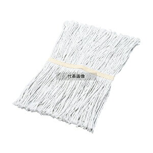 Rh(RY) 2989.jpvX lIJ[bv֎#8 T-190 190g |/qpi No.2977721