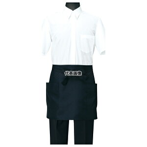 Gv CT2567-9 ubN OS38×EGXg108×82×R290(cm) Gv No.4084100