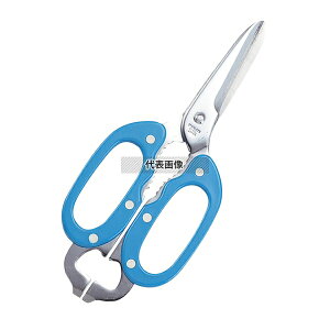 oT~ RbNT  S:215 nT~ No.4254800