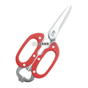 oT~ RbNT  S:215 nT~ No.4254810